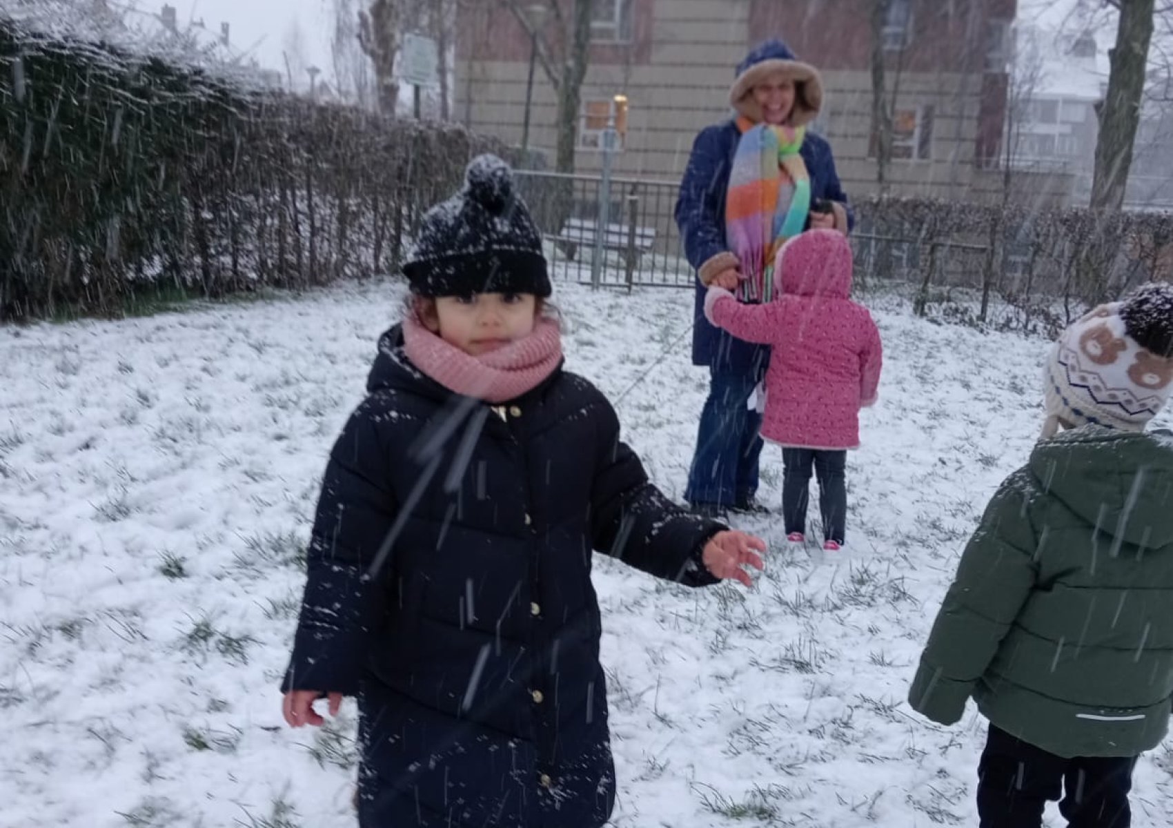 whatsapp image 2026-01-16 at 22.46.50